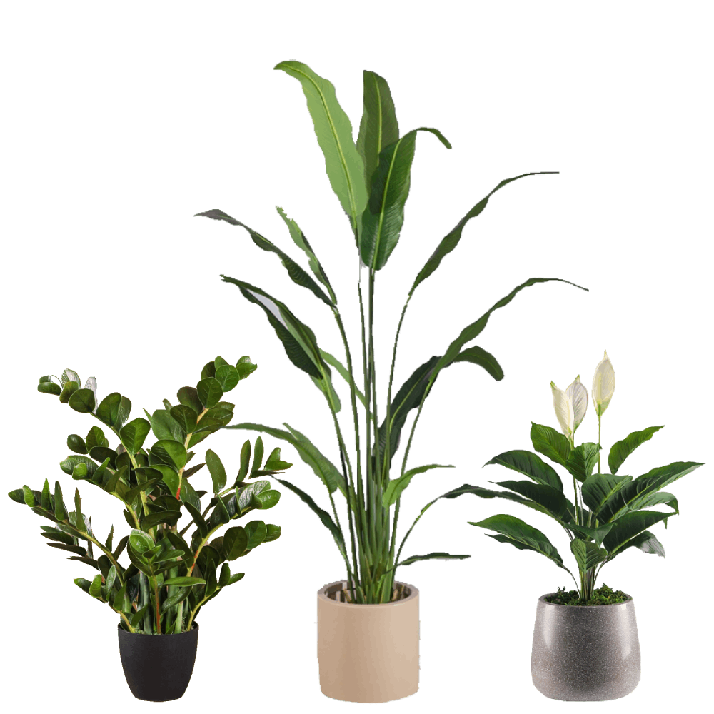 Artificial Plant & Plastic Pot