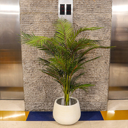 Areca Palm with White Creative Concrete Planter