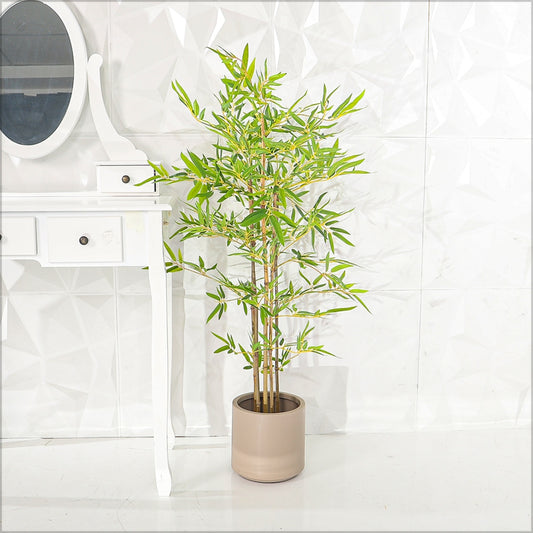 Bamboo Plant with Decorative Planter