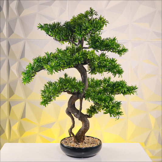 Bonsai Tree - 85cm