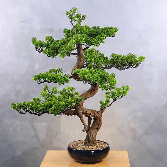 Bonsai Tree - 70cm