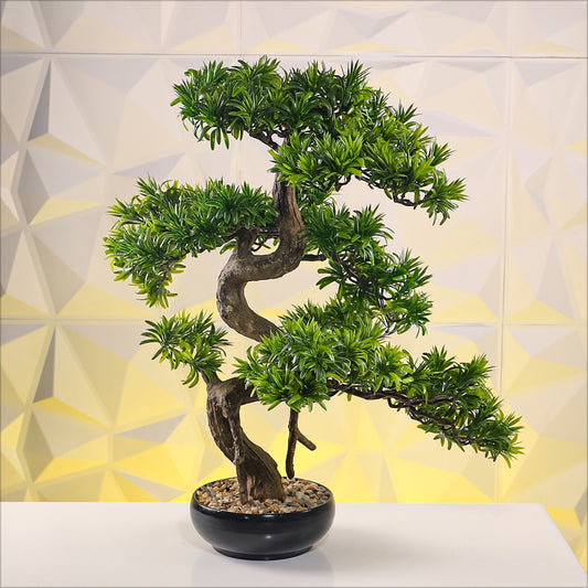 Bonsai Tree - 70cm