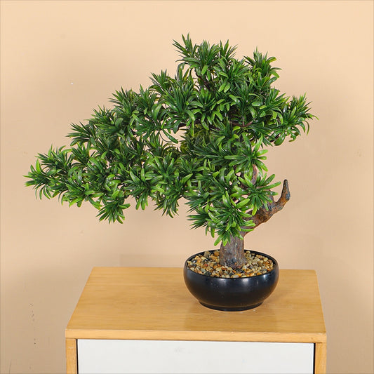 Bonsai Tree - 44cm