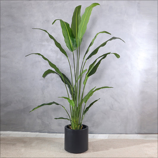 Paradise Plant  with Decorative Planter - Black