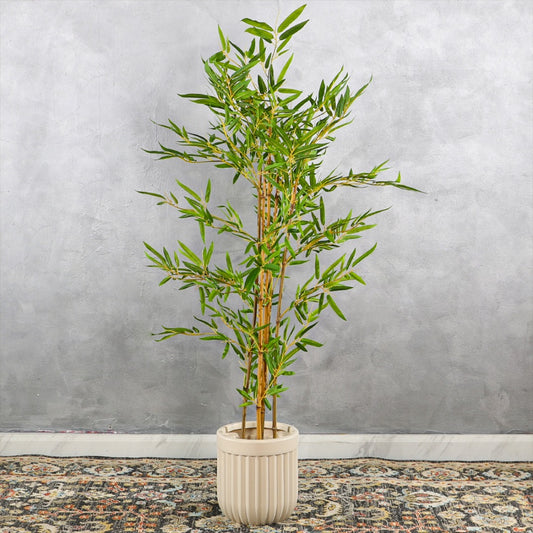 Bamboo Plant with Round Ribbed Planter