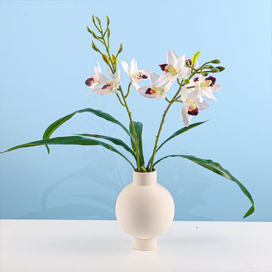 Cymbidium Orchid Plant with Textured Ceramic Vase